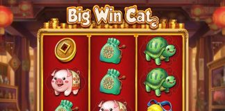 Big Win Cat