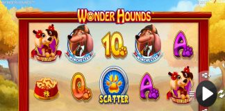 Wonder Hounds